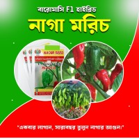 নাগা মরিজ