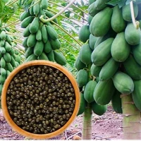 পেঁপের বীজ